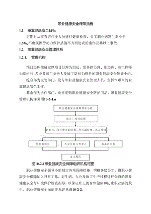 职业健康安全保障措施.docx