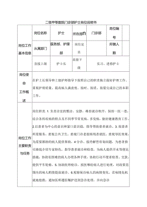 二级甲等医院门诊部护士岗位说明书.docx
