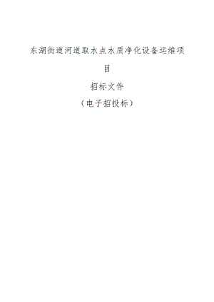 东湖街道河道取水点水质净化设备运维项目招标文件.docx