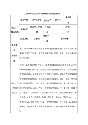二级甲等医院妇产科治疗班护士岗位说明书.docx
