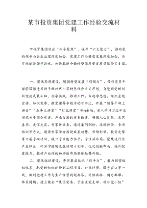 某市投资集团党建工作经验交流材料.docx