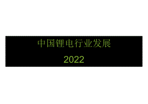 2022中国锂电行业发展.docx