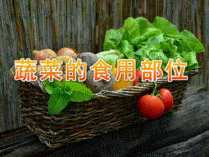 大班健康《蔬菜的食用部位》PPT课件教案PPT课件.pptx