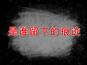 大班阅读《是谁留下的痕迹》PPT课件教案微课件.pptx
