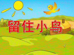 大班语言《留住小鸟》PPT课件教案配音音乐ppt课件.pptx