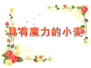 大班语言《具有魔力的小麦》PPT课件教案微课件.pptx
