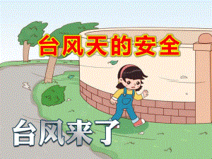 台风天的安全PPT课件教案图片台风来了幼儿园班会.pptx