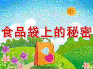 大班健康《食品袋上的秘密》PPT课件教案PPT课件.pptx
