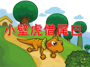 大班语言故事《小壁虎借尾巴》PPT课件教案配音音乐PPT课件.pptx