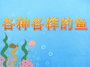 大班《各种各样的鱼》PPT课件教案PPT课件.pptx