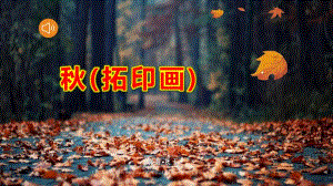 大班艺术《(拓印画)》PPT课件教案大班艺术-《(拓印画)》.pptx