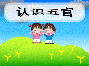 小班《五官很重要》PPT课件教案幼儿课件-认识五官(五官很重要.pptx