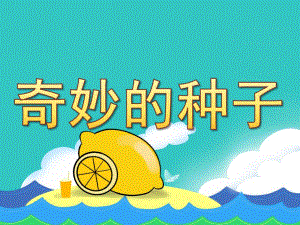 奇妙的种子PPT课件教案图片PPT课件.pptx