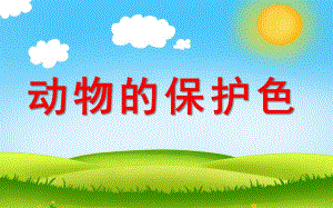 大班科学《动物的保护色》PPT课件教案动物的保护色.pptx