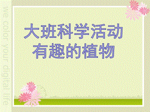 大班科学公开课《有趣的植物》PPT课件教案大班科学-有趣的植物.pptx