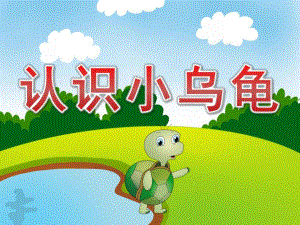 小乌龟PPT课件教案图片PPT课件.pptx