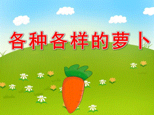 各种各样的萝卜PPT课件教案图片PPT课件.pptx