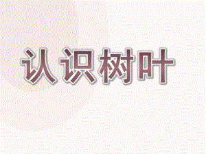 小班数学《水果接龙》PPT课件教案小班数学-水果接龙.pptx