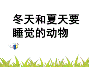 大班科学《冬天和夏天睡觉的动物》PPT课件大班科学--冬天和夏天要睡觉的动物.pptx