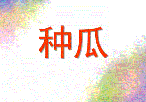 大班语言《种瓜》PPT课件教案种瓜大班语言.pptx