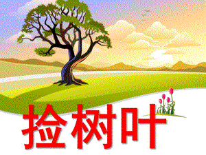 中班语言《捡树叶》PPT课件教案语言《捡树叶》.pptx