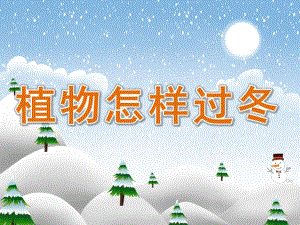 大班科学《植物怎样过冬》PPT课件教案PPT课件.pptx