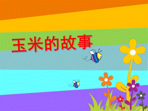 大班《玉米的故事》PPT课件玉米的故事-幼儿园小学教材课题备案.pptx
