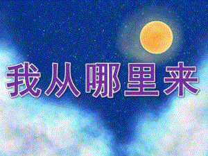 大班教育《我从哪里来》PPT课件教案PPT课件.pptx
