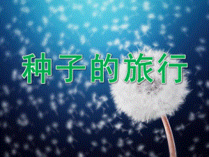 大班科学《种子的旅行》PPT课件教案PPT课件.pptx