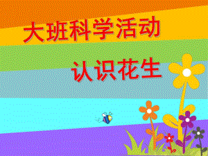 大班科学活动《认识花生》PPT课件教案认识花生.pptx