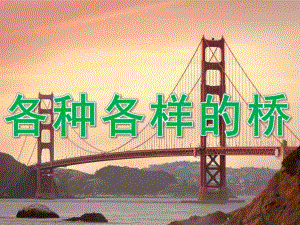 大班科学《各种各样的桥》PPT课件教案PPT课件.pptx