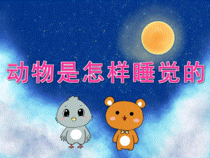 大班科学《动物是怎样睡觉的》PPT课件教案PPT课件.pptx