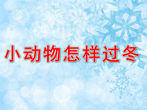 小动物怎样过冬PPT课件教案图片PPT课件.pptx