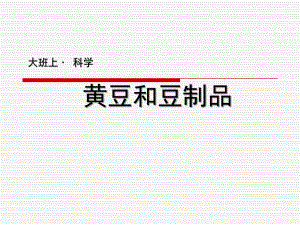 大班上科学《黄豆和豆制品》PPT课件大班上科学：黄豆和豆制品.pptx