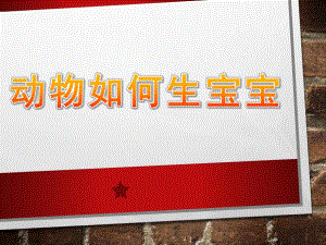 大班科学《动物如何生宝宝》PPT课件教案动物如何生宝宝.pptx