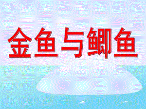 中班自然科学《金鱼与鲫鱼》PPT课件教案.pptx