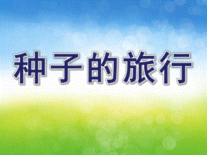 大班综合《种子的旅行》PPT课件教案大班语言种子的旅行.pptx