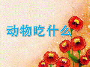 小班科学《动物吃什么》PPT课件教案《动物吃什么》课件.pptx