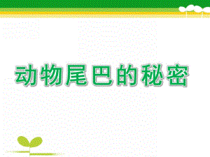 大班科学《动物尾巴的秘密》PPT课件教案动物尾巴的秘密.pptx