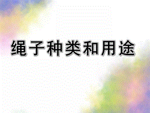 大班科学《绳子种类和用途》PPT课件教案绳子种类和用途.pptx