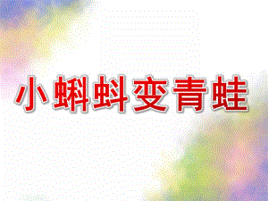 大班科学《小蝌蚪变青蛙》PPT课件教案ppt课件.pptx