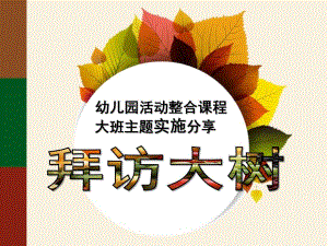 大班主题科学《拜访大树》PPT课件拜访大树.pptx