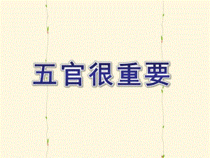 大班健康活动《五官很重要》PPT课件教案五官很重要概述.pptx