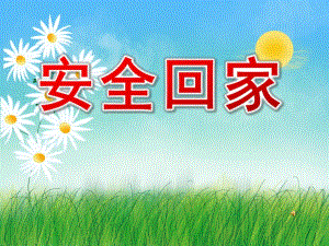 安全回家PPT课件教案图片PPT课件.pptx