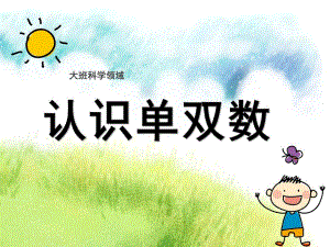 大班数学《认识单双数》PPT课件教案微课件.pptx