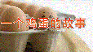 大班综合《一个鸡蛋的故事》PPT课件教案音频微课件.pptx