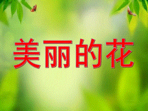 大班科学《美丽的花》PPT课件教案大班科学-美丽的花.pptx
