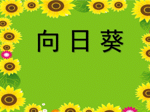 大班美术公开课《向日葵》PPT课件教案幼儿园大班美术课《向日葵》教学课件.pptx