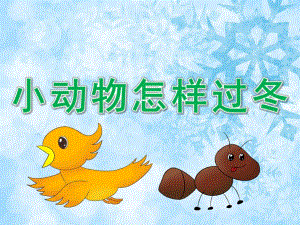 大班科学《小动物怎样过冬》PPT课件教案PPT课件.pptx
