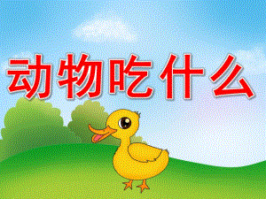 小班语言《动物吃什么》PPT课件教案PPT课件.pptx